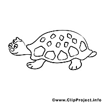 Tortue clipart – Divers dessins à colorier