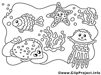 Animaux marin illustration à colorier clipart