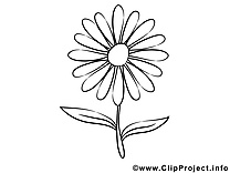 Aster clip art à imprimer images gratuites