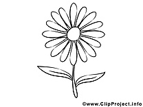 Aster clip art à imprimer images gratuites