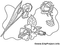 Floraison dessin gratuit à imprimer