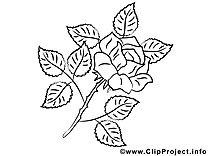 Rose coloriage clip art gratuit