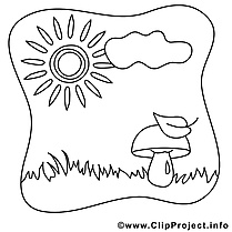 Champignon soleil image – Coloriage été illustration