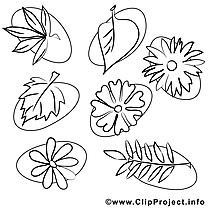 Feuilles clip art gratuit – Été à imprimer