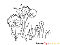 Fleurs clip arts – Été à imprimer