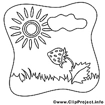 Fraise soleil dessin – Coloriage été à télécharger