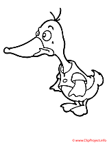 Canard coloriage