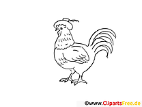 Coq clipart gratuit – Campagne à colorier