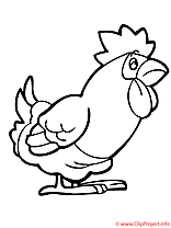 Coq coloriage