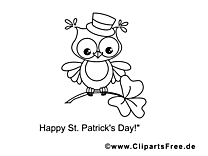 Hibou dessin gratuit – Saint-Patrick à colorier