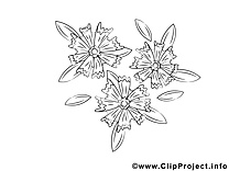 Coloriage fleurs illustration à télécharger