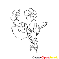 Coloriage illustration fleurs  à télécharger