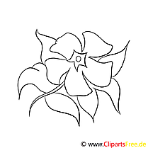 Dessin à télécharger fleurs à colorier