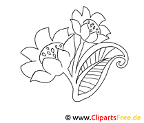 Dessin gratuit floraison – Fleurs à colorier