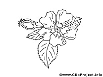 Fleurs coloriages