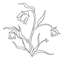 Floraison illustration – Fleurs à colorier