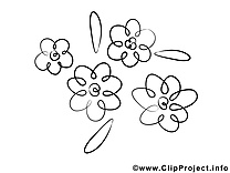 Floraison illustration – Fleurs à imprimer