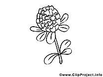 Illustration fleurs gratuit à imprimer