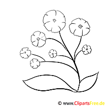 Image gratuite fleurs à colorier