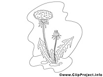 Pissenlit clip art – Fleurs image à colorier