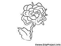 Rose dessin gratuit – Fleurs à colorier