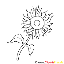 Tournesol clip art gratuit – Fleurs à imprimer