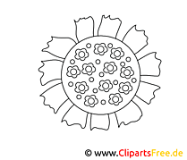 Tournesol image – Coloriage fleurs illustration