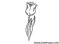 Tulipe image – Fleurs images à colorier