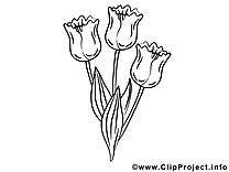 Tulipes dessin – Fleurs gratuits à imprimer