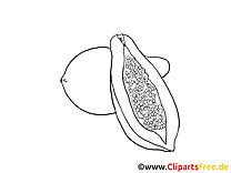 Avocat dessin – Coloriage fruits à télécharger