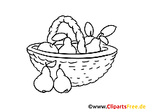 Panier poires clipart gratuit – Fruits à colorier