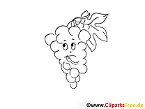 Raisin illustration – Fruits à imprimer