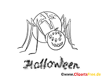 Araignée dessin – Coloriage halloween à télécharger