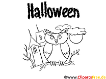 Hibou illustration – Halloween à colorier