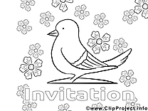 Pigeon image à télécharger – Invitations à colorier