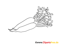 Carotte dessin – Coloriage légumes à télécharger