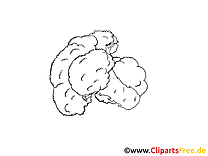 Chou-fleur clipart – Légumes dessins à colorier