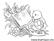 Livre oiseau image – Coloriage pâques illustration