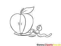 Ver pomme clipart gratuit – Cartoons à colorier
