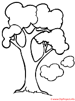 Arbre coloriage