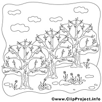 Arbres dessin gratuit – Printemps à colorier