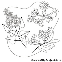 Printemps à colorier à télécharger clipart gratuit