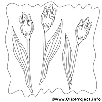 Tulipes image gratuite – Printemps à colorier