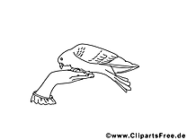 Clip art colombe – Pentecôte image à colorier
