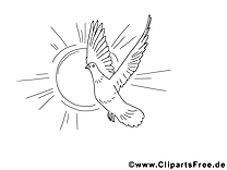 Clip art gratuit colombe – Pentecôte à colorier