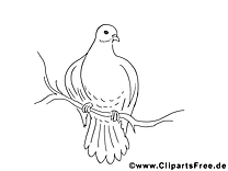 Clipart colombe – Pentecôte dessins à colorier