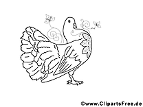 Coloriage colombe image à télécharger gratuite