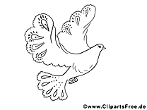Dessin colombe – Coloriage pentecôte à télécharger