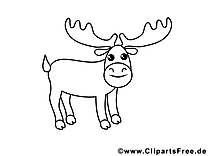 Cerf dessin – Coloriage zoo à télécharger