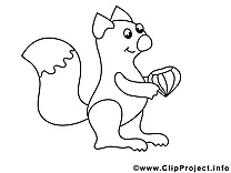 Coloriage écureuil illustration à télécharger